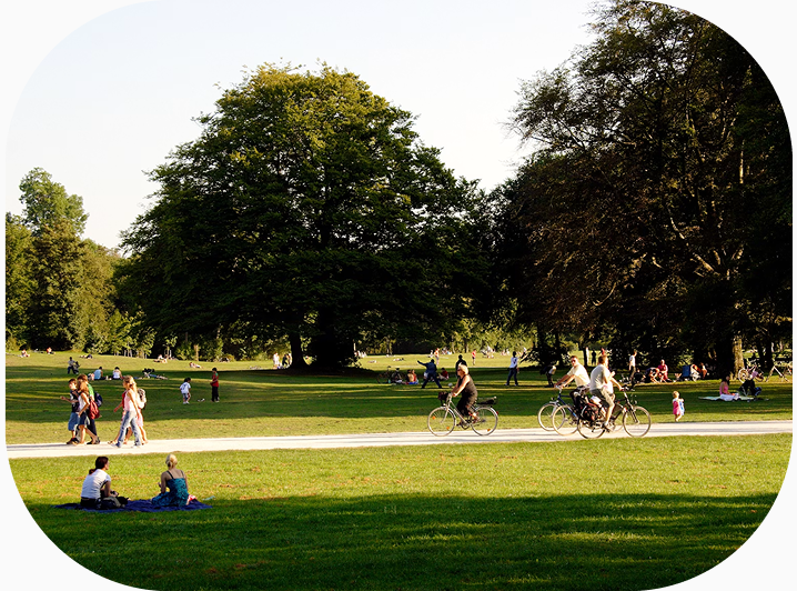 Park afternoon